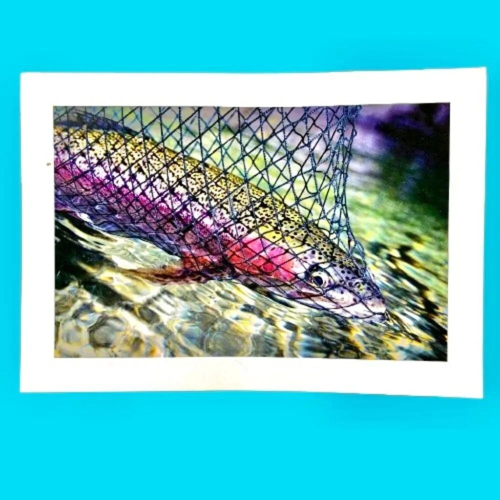 WILD TROUT Stationery Note Greeting Cards Blank 12 Cards + Envelopes Box
